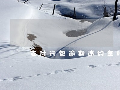 支付行包逾期违约金时填写