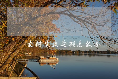 支付货款逾期怎么办 支付货款逾期怎么办