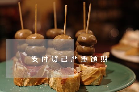 支付贷已严重逾期