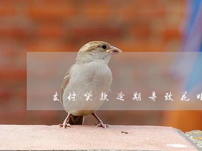 支付贷款逾期导致花呗封了 支付贷款逾期导致花呗封了
