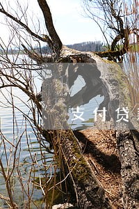 支付贷款逾期罚息会计分录 支付贷款逾期罚息会计分录