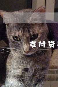支付贷款逾期罚息账务 支付贷款逾期罚息账务