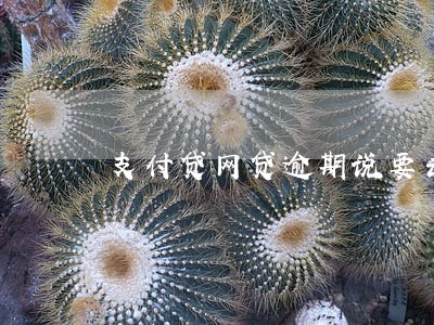 支付贷网贷逾期说要去户籍地 支付贷网贷逾期说要去户籍地