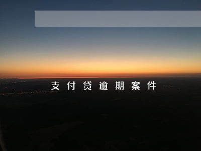 支付贷逾期案件 支付贷逾期案件