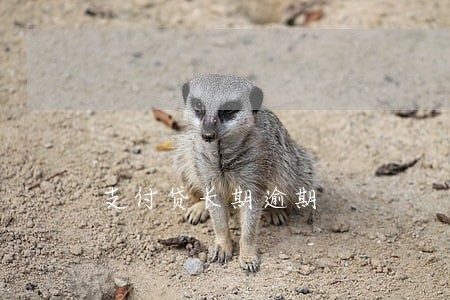 支付贷长期逾期 支付贷长期逾期