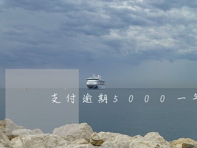 支付逾期5000一年会怎样 支付逾期5000一年会怎样