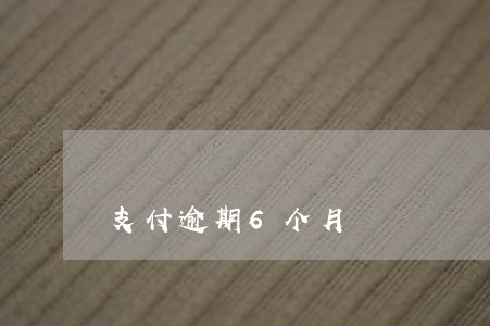 支付逾期6个月 支付逾期6个月