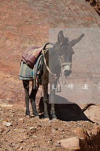 支付逾期一天有什么影响 支付逾期一天有什么影响
