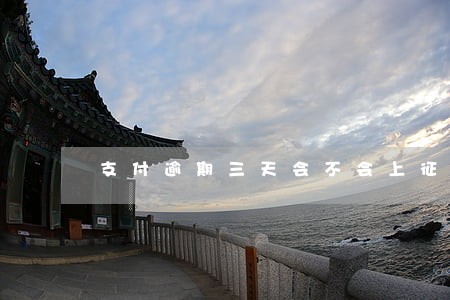 支付逾期三天会不会上征信