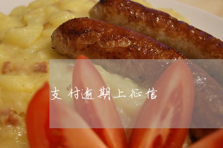 支付逾期上征信 支付逾期上征信