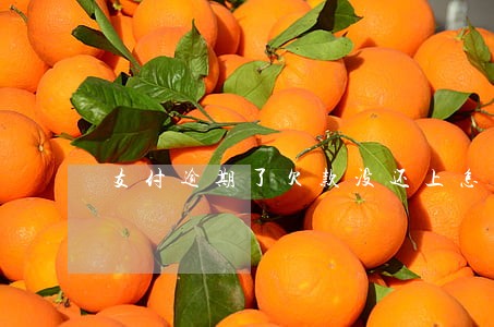 支付逾期了欠款没还上怎么办 支付逾期了欠款没还上怎么办