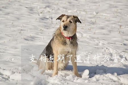 支付逾期了通过什么方式来催款 支付逾期了通过什么方式来催款