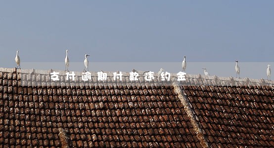 支付逾期付款违约金 支付逾期付款违约金
