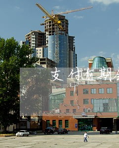 支付逾期会成为老赖吗