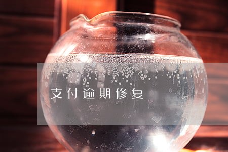 支付逾期修复 支付逾期修复