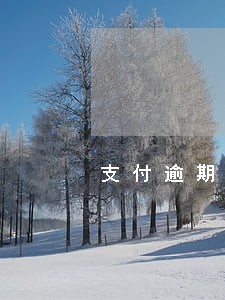 支付逾期关闭短信 支付逾期关闭短信