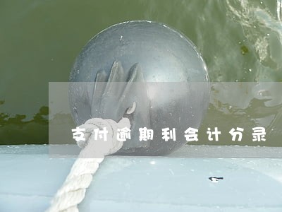 支付逾期利会计分录 支付逾期利会计分录