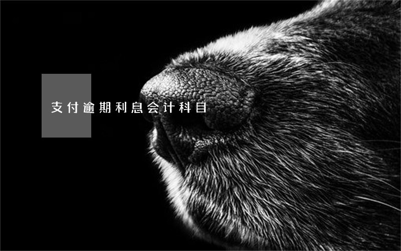 支付逾期利息会计科目 支付逾期利息会计科目