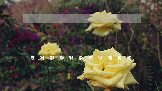 支付逾期利息可以减免吗 支付逾期利息可以减免吗