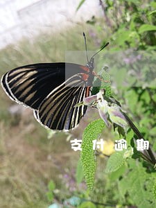 支付逾期利息国家最新规定 支付逾期利息国家最新规定