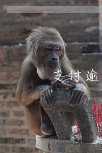 支付逾期利息录入什么科目 支付逾期利息录入什么科目