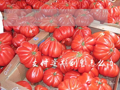 支付逾期利息怎么办 支付逾期利息怎么办