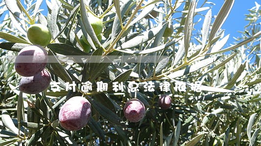 支付逾期利息法律依据 支付逾期利息法律依据