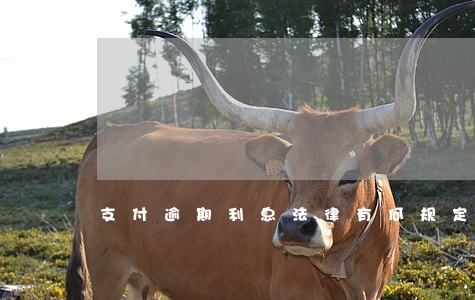 支付逾期利息法律有何规定 支付逾期利息法律有何规定