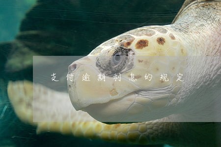 支付逾期利息的规定 支付逾期利息的规定