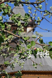 支付逾期利息算违约责任么 支付逾期利息算违约责任么