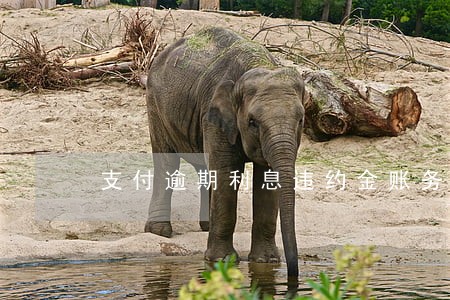 支付逾期利息违约金账务处理