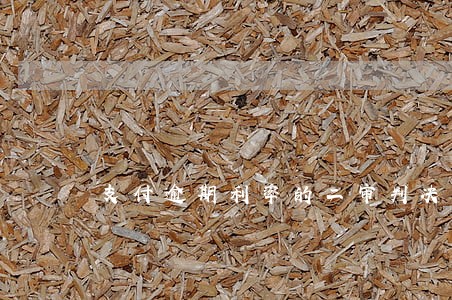 支付逾期利率的二审判决书