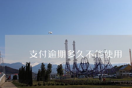 支付逾期多久不能使用 支付逾期多久不能使用