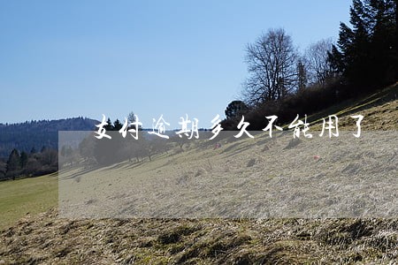 支付逾期多久不能用了 支付逾期多久不能用了