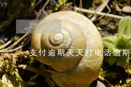 支付逾期天天打电话逾期 支付逾期天天打电话逾期