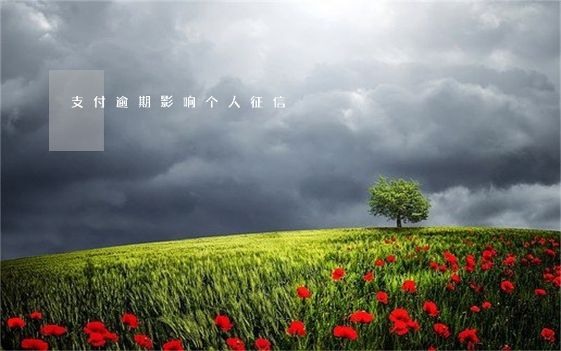 支付逾期影响个人征信 支付逾期影响个人征信