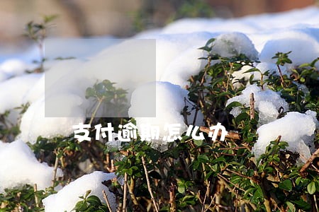 支付逾期怎么办 支付逾期怎么办