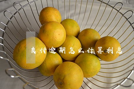 支付逾期怎么计算利息 支付逾期怎么计算利息