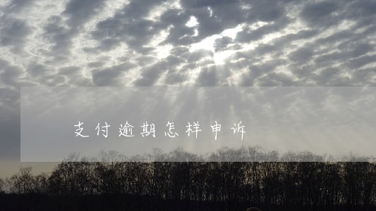 支付逾期怎样申诉 支付逾期怎样申诉