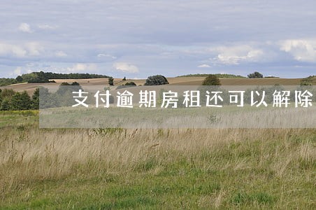 支付逾期房租还可以解除合同吗 支付逾期房租还可以解除合同吗
