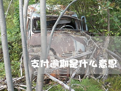 支付逾期是什么意思 支付逾期是什么意思