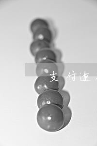 支付逾期法律 支付逾期法律