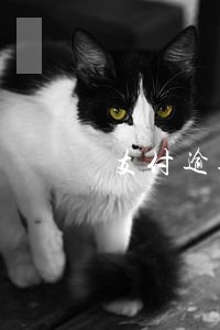 支付逾期法律规定 支付逾期法律规定