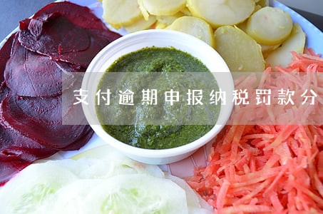 支付逾期申报纳税罚款分录 支付逾期申报纳税罚款分录