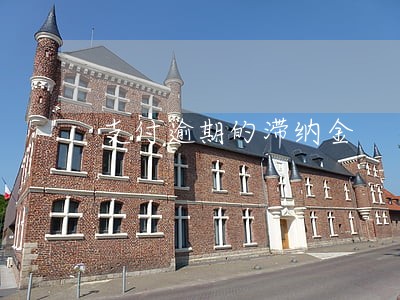 支付逾期的滞纳金 支付逾期的滞纳金