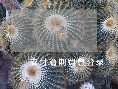 支付逾期罚息分录