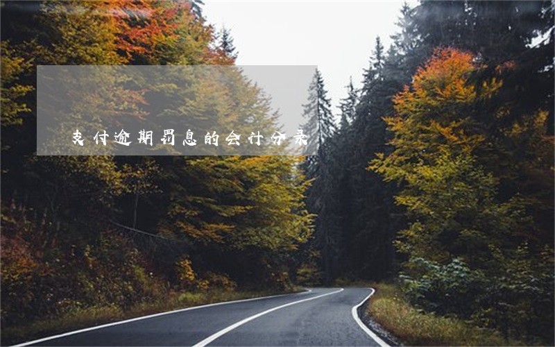 支付逾期罚息的会计分录 支付逾期罚息的会计分录