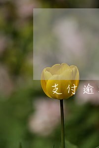 支付逾期能协商吗 支付逾期能协商吗