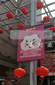 支付逾期让全款还完 支付逾期让全款还完