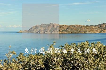 支付逾期记录多久消失 支付逾期记录多久消失